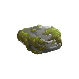 Mossy Boulder